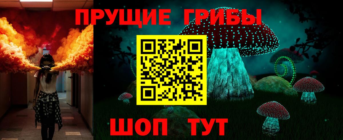 купить   Галлюциногенные грибы Cubensis  Вход с VPN  Кубинка 