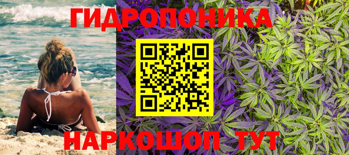 Шишки марихуана план  Марихуана планчик  Канабис Ganja  Канабис THC 21%  Вход с VPN  Кубинка 